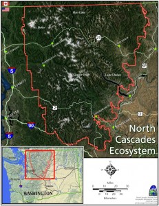 NCE locator 2010