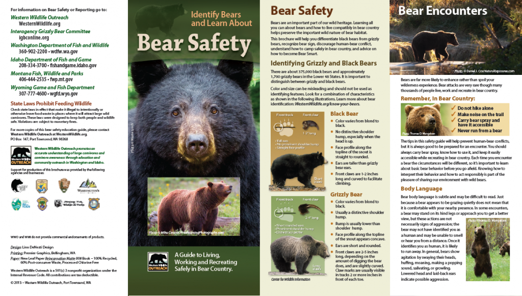 Bear Safety Brochure WWOIGBC p1 Western Wildlife Outreach