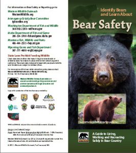 Bear Identification & Signs (Be Bear Aware) - IGBC