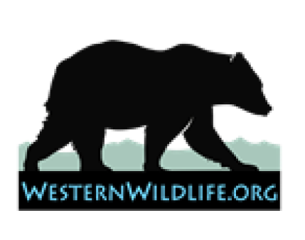 Grizzly Biology & Behavior - Western Wildlife Outreach