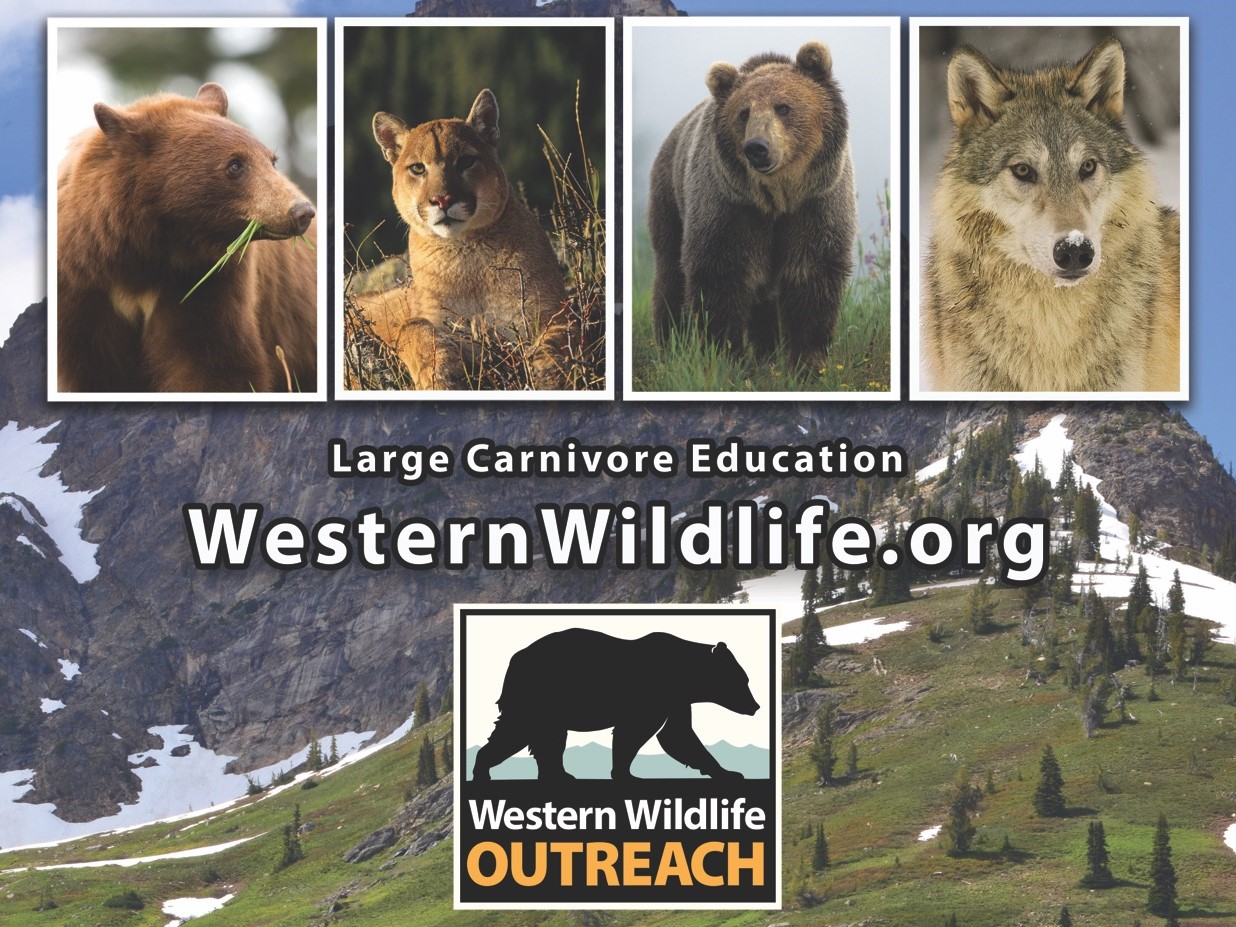 Grizzly Biology & Behavior - Western Wildlife Outreach